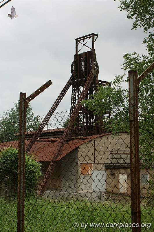 DSC06767.JPG