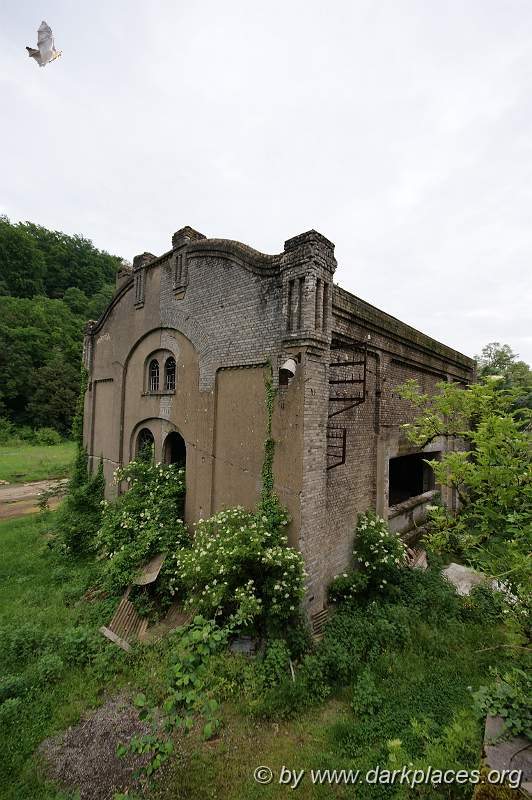 DSC08274.JPG