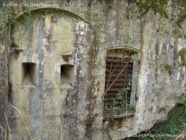 DSC07508