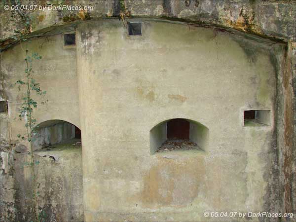 DSC07519