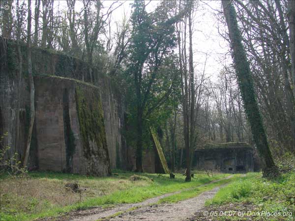 DSC07608