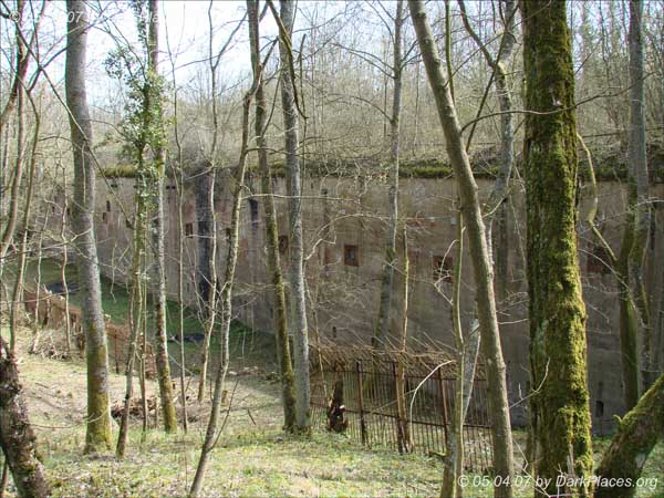 DSC07246