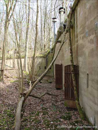 DSC07265