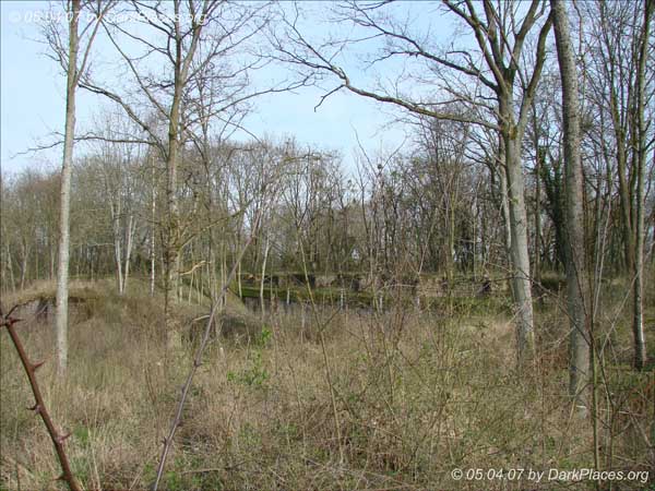 DSC07872