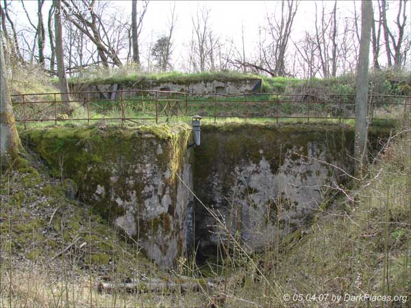 DSC07875