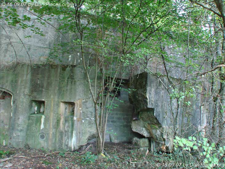DSC05877
