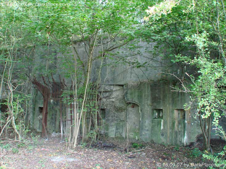 DSC05880