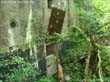 DSC08908
