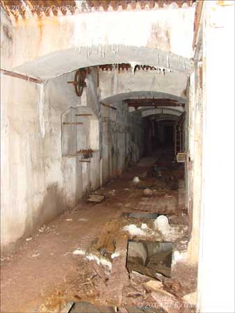DSC08411