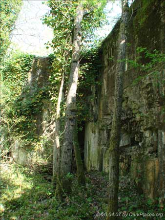 DSC08448