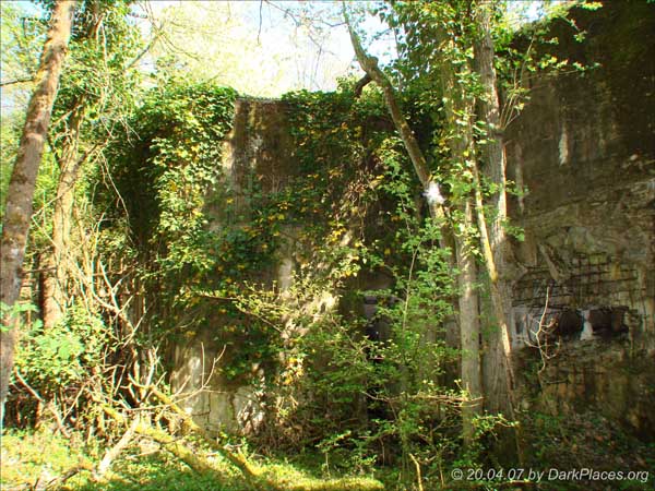 DSC08450