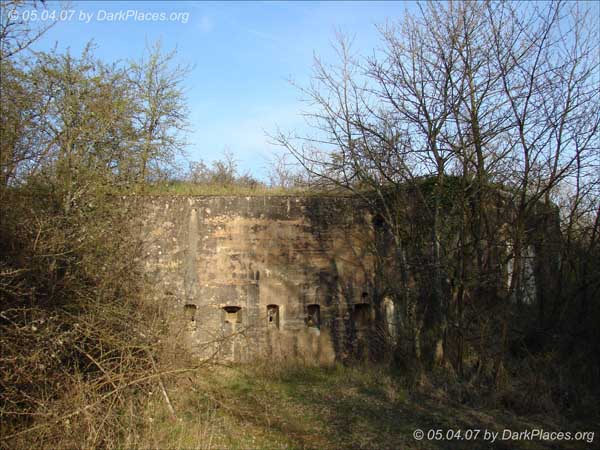 DSC08040