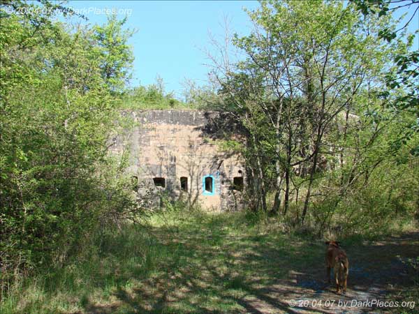 DSC08502