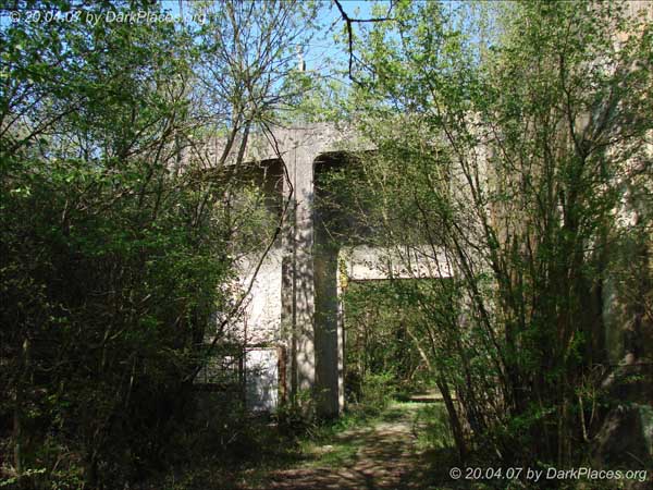 DSC08505