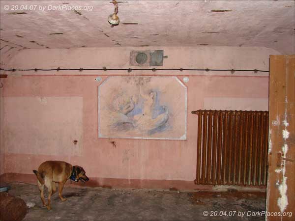 DSC08520