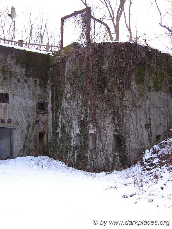 PICT0672.JPG