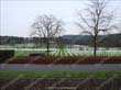 DSC04751