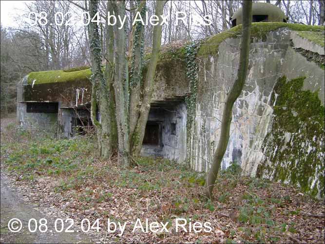 Casemate artillerie du bois Ottonville - 08-02-2004 - IMGP5416