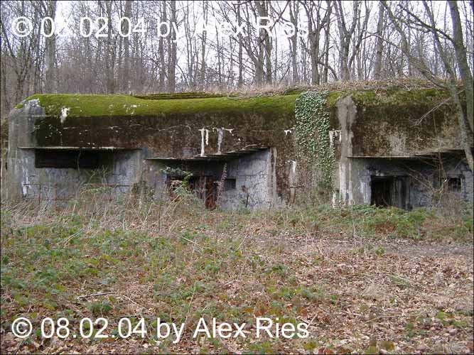 Casemate artillerie du bois Ottonville - 08-02-2004 - IMGP5418