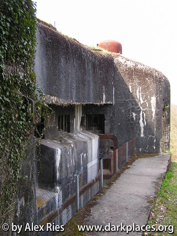 PICT4584.JPG
