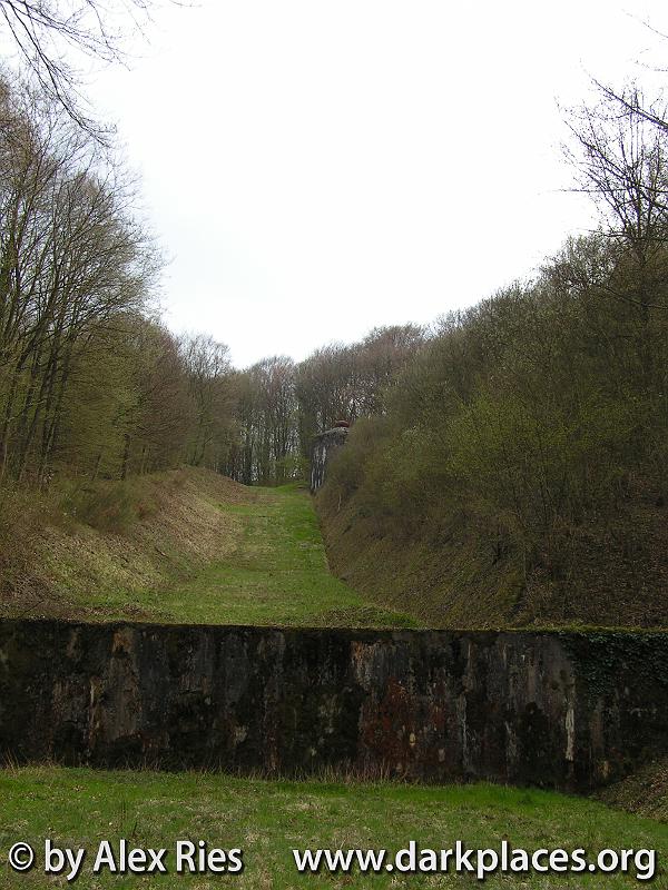 PICT4807.JPG