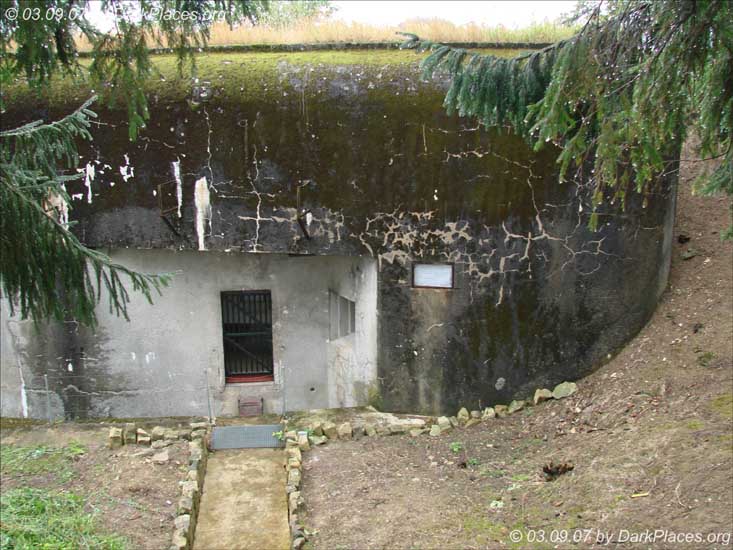 DSC05758