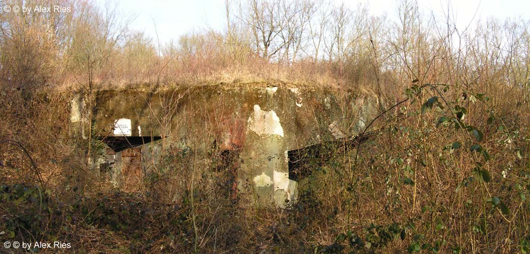 Casemate du Sonnenberg - Panorama 1