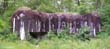 Panorama 1