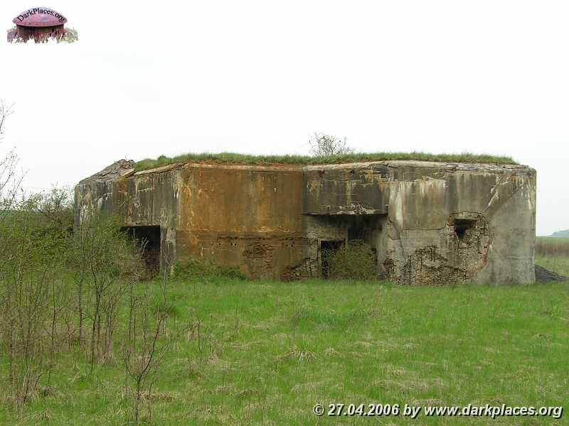 PICT5128.JPG