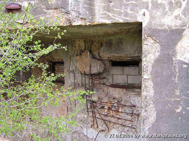 PICT5132.JPG
