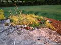 Mauvais Bois (A04) - Bloc 1 - PICT4720