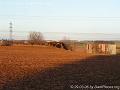 Mauvais Bois (A04) - Bloc 1 - PICT4749