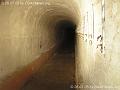 Mauvais Bois (A04) - Galeries - PICT4753
