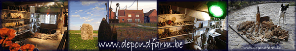 Depondfarm