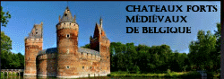 Chteaux Forts Mdivaux de Belgique 