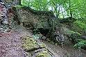 DSC05252